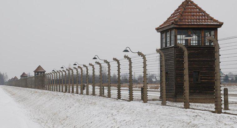 Quais são alguns eventos que levaram ao Holocausto?