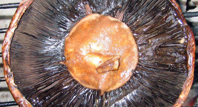 Os cozinheiros removem as guelras de um cogumelo Portobello?