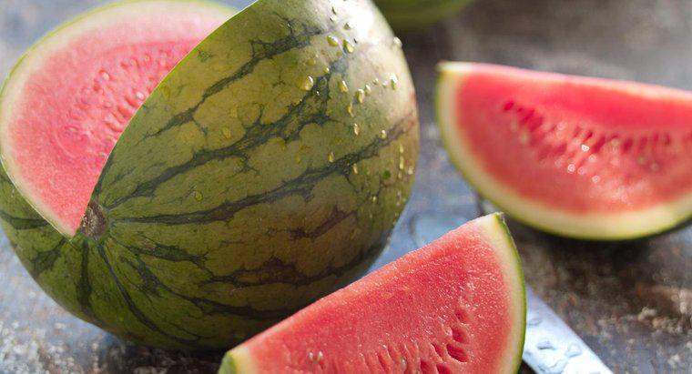 Qual é a aparência de uma videira de melancia?