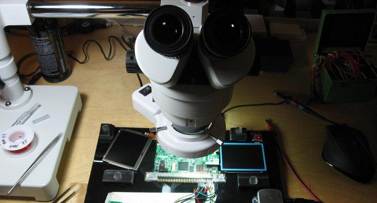 Quais são as partes e funções de um microscópio binocular?