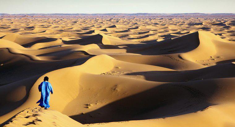 Quais são as ocupações daqueles que vivem no deserto do Saara?