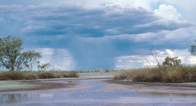 O que é uma quantidade média de chuva em áreas úmidas?