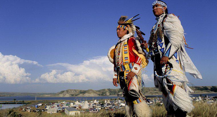 Qual foi o efeito da expansão para o oeste nos nativos americanos?