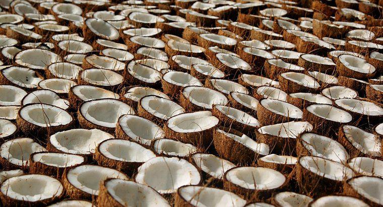 Quais são os benefícios para a saúde e os usos do óleo de coco?