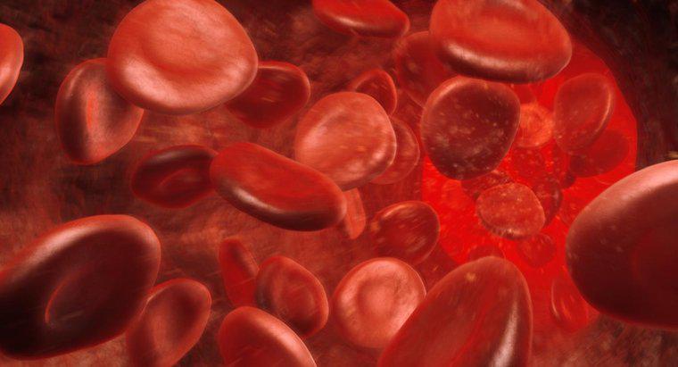 O que significa uma contagem elevada de hemoglobina?