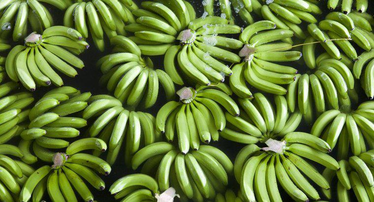Como você amadurece as bananas durante a noite?