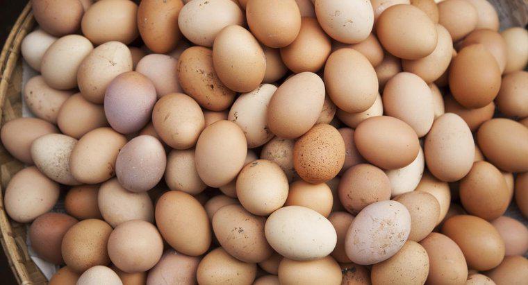 Os ovos são considerados laticínios ou aves?