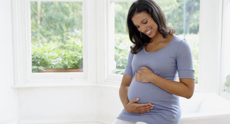 Como a gravidez afeta a temperatura corporal basal de uma mulher?