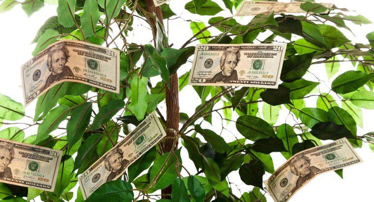 Como você dá uma árvore de dinheiro como um presente?