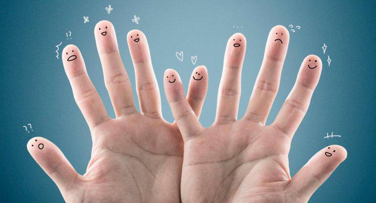 Por que as pontas dos dedos são muito sensíveis ao toque?
