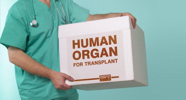 Quais são as vantagens e desvantagens dos transplantes de órgãos?