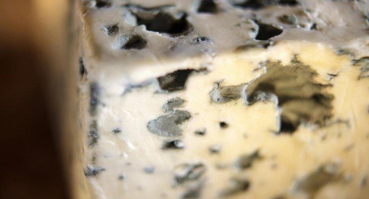 O que é um substituto para o queijo roquefort?