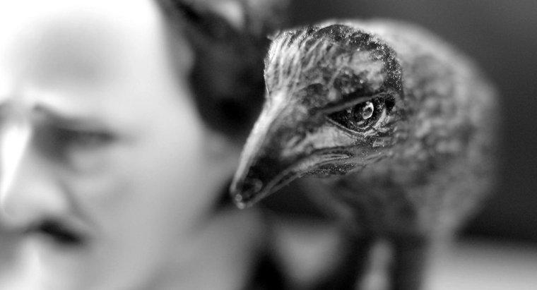 Quais são algumas alusões presentes em "The Raven", de Edgar Allen Poe?