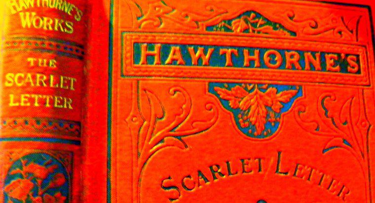 "The Scarlet Letter" é um romance protofeminista?