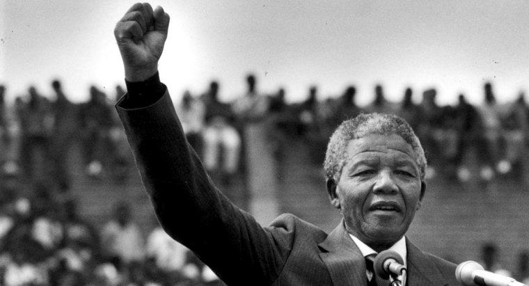 Pelo que Nelson Mandela lutou?