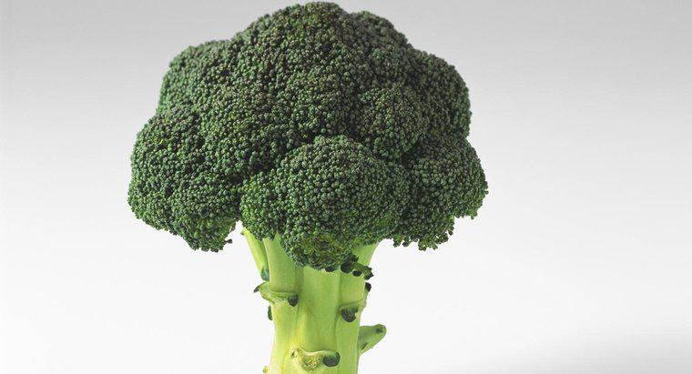 O que o brócolis faz pelo seu corpo?