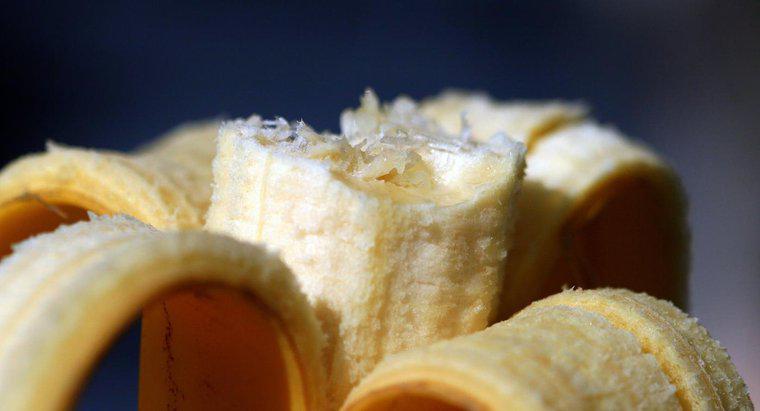 As cascas de banana são venenosas para humanos?