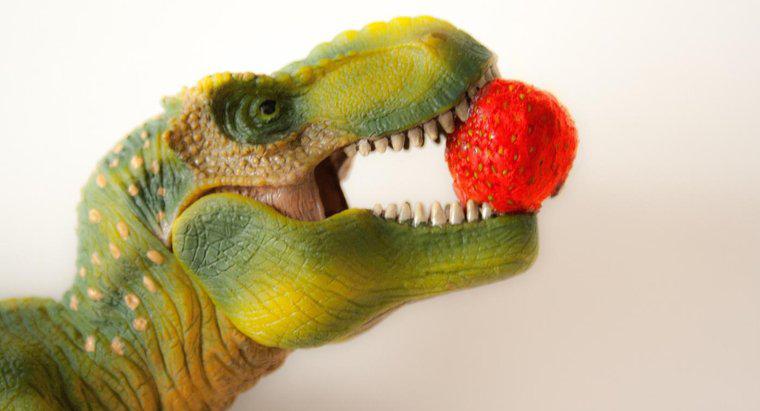 O que os dinossauros comeram?