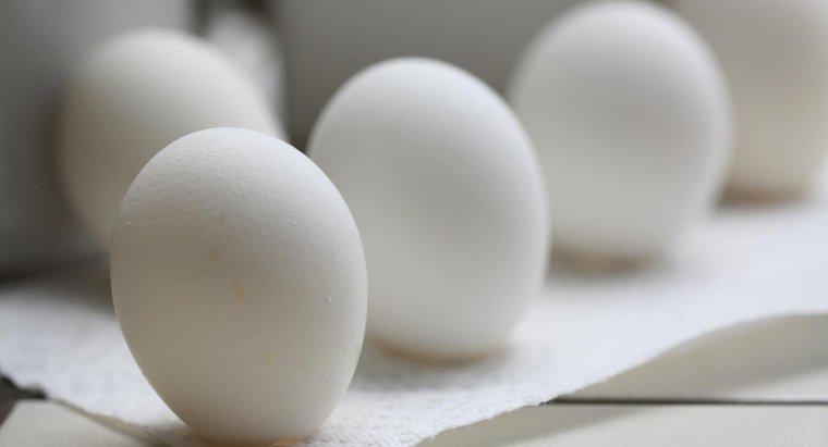 O que acontece se você comer um ovo ruim?