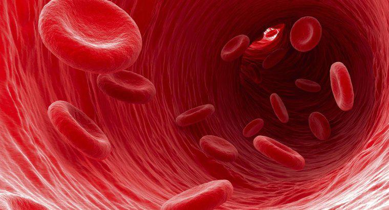 Que tipo de células sanguíneas retiram os resíduos das células?
