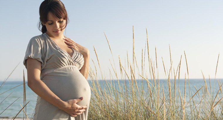 Quais são alguns sinais de gravidez em humanos?