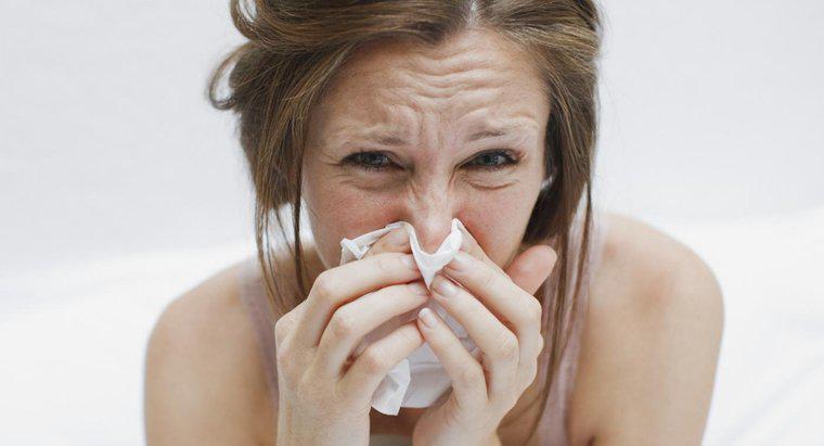 Qual patógeno causa a gripe?