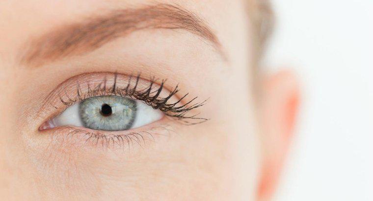 O que faz com que as pupilas dos seus olhos sejam pequenas?