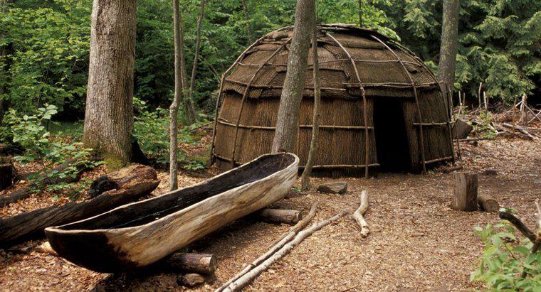 Onde o Iroquois viveu?