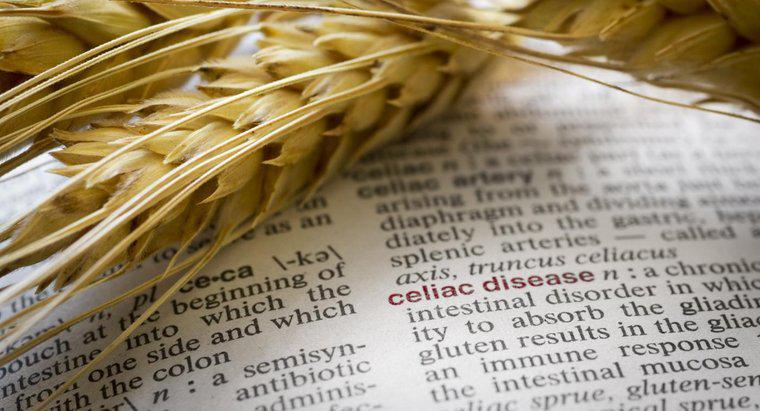 Quais são alguns sintomas da alergia ao trigo?