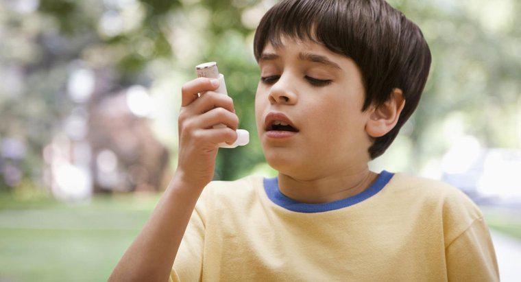 Como o sistema respiratório é afetado pela asma?