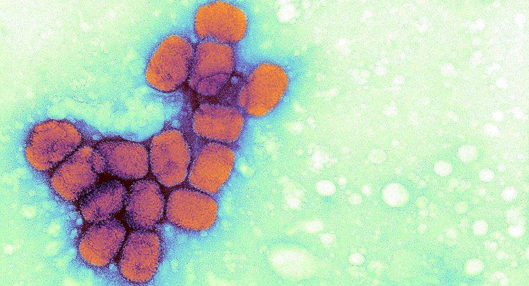 Quais são os efeitos a longo prazo da varíola?