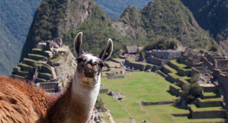 Onde estava localizado o Império Inca?