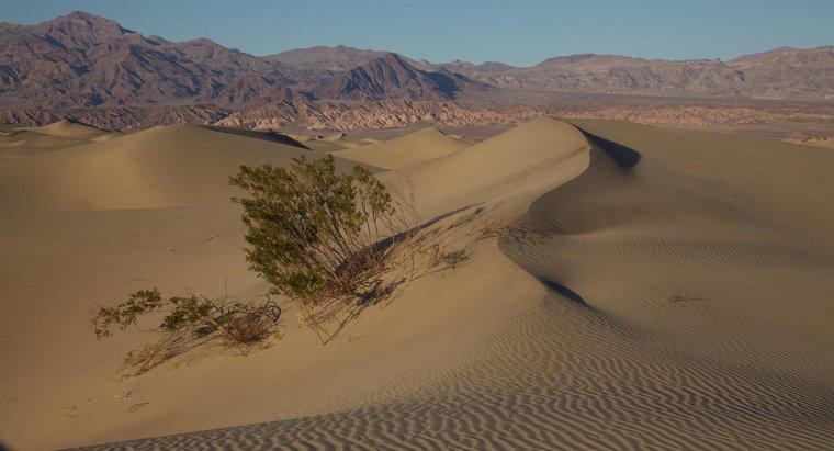 Qual agente de erosão cria dunas de areia?