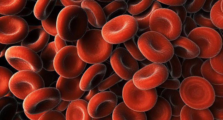 O que causa a proteína no sangue?