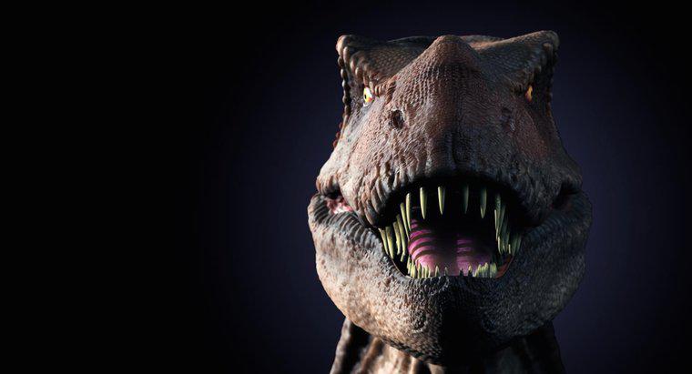 Quais são algumas curiosidades sobre o T. Rex para crianças?