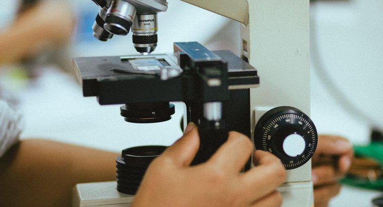 Qual é o propósito de um microscópio?