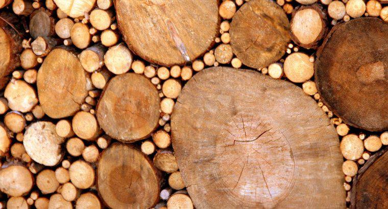 Como a madeira é formada?