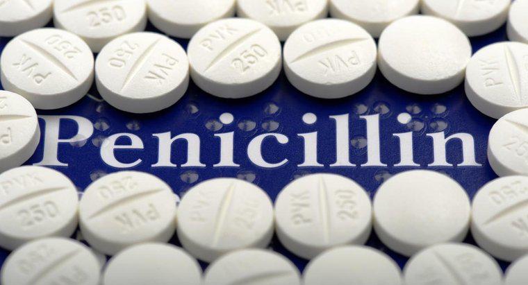 O que a penicilina faz?