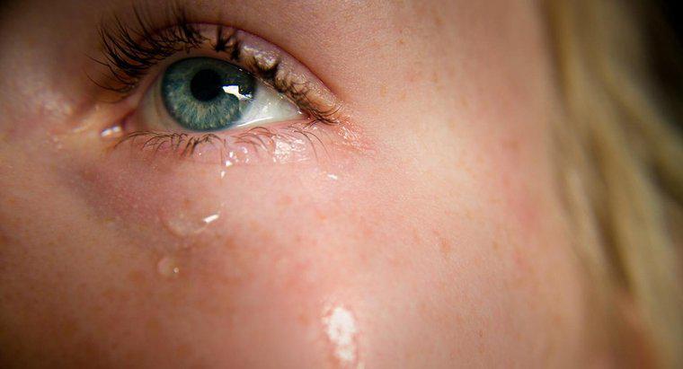 Por que as lágrimas são salgadas?