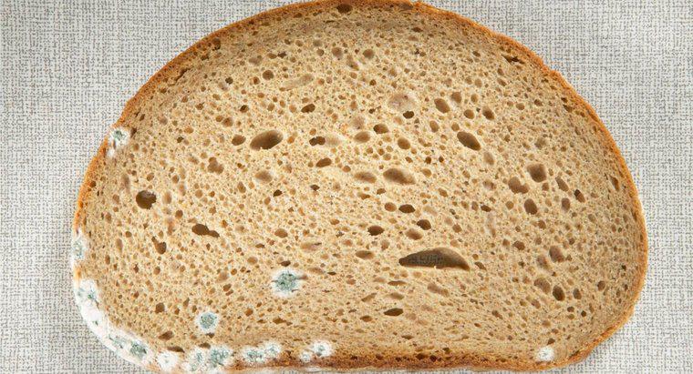 Quais são os perigos de comer pão mofado?
