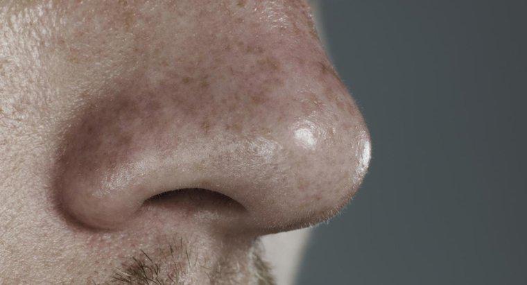O que causa feridas no nariz?
