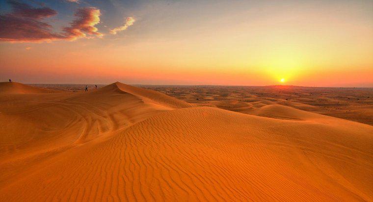 Quais são os fatores bióticos e abióticos nos desertos?