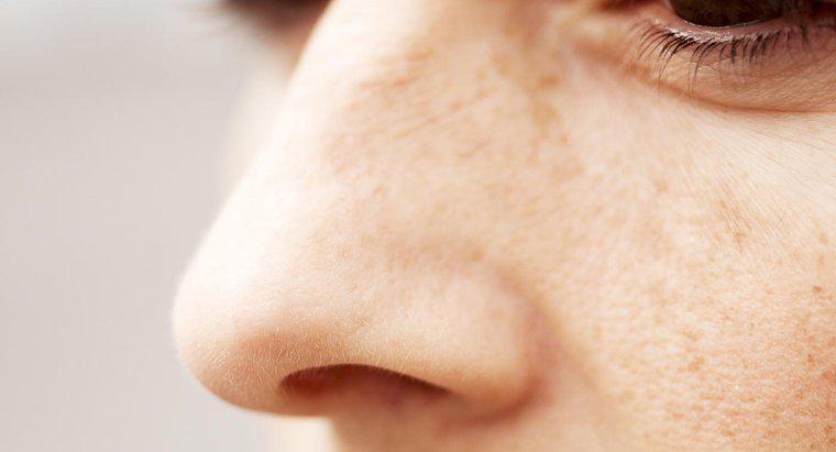 Quais são as duas funções da mucosa encontradas na cavidade nasal?