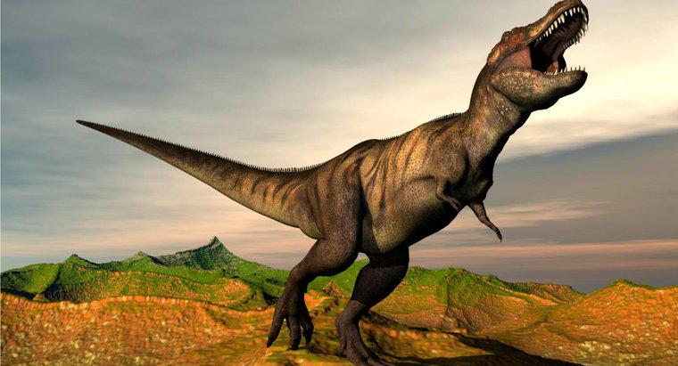 Quais são alguns fatos sobre o Tyrannosaurus Rex?