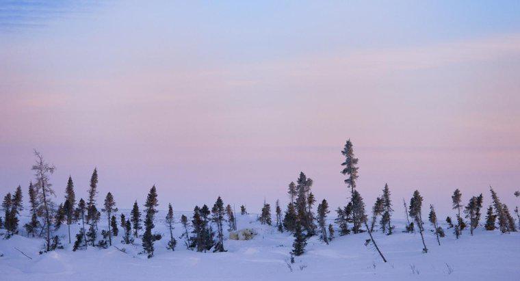Como os humanos impactaram o bioma Tundra?