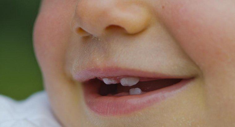 O que causa dentes pequenos?