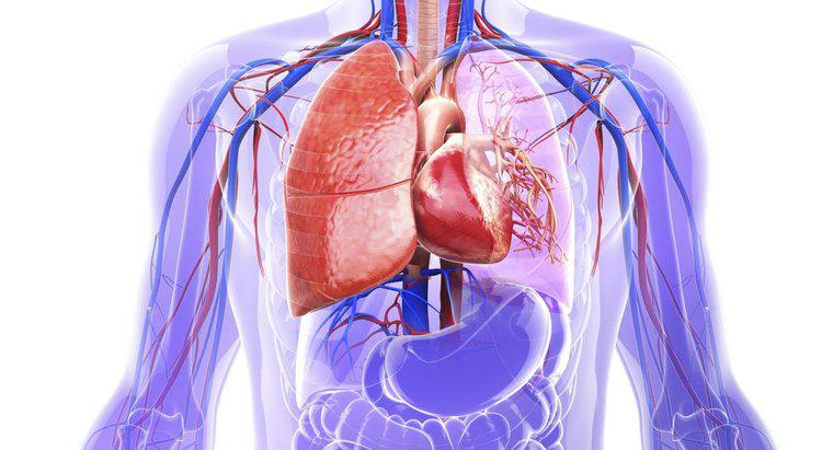 O que é um aneurisma da aorta?