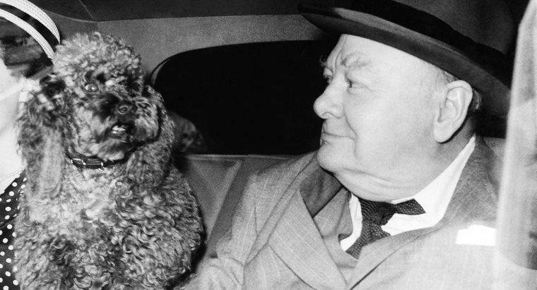 Quem foi Winston Churchill e por que ele era famoso?