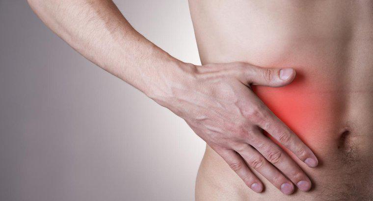 Quais são os sintomas de apendicite em adultos?