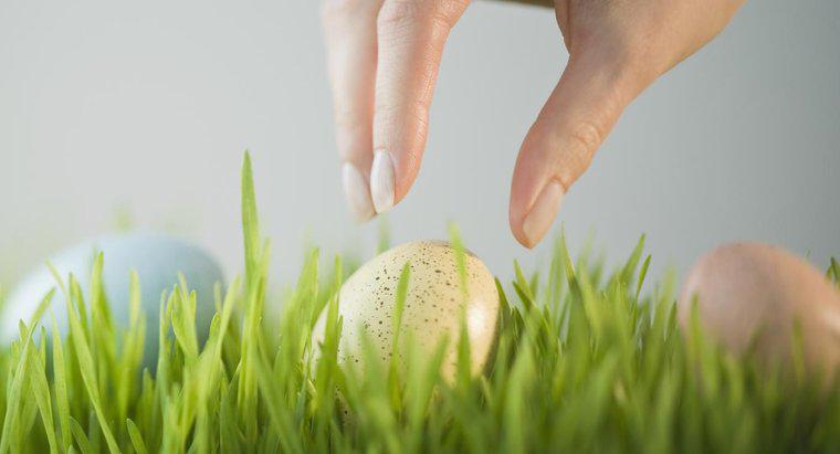 Quais são algumas idéias de caça ao ovo de Páscoa para adultos?